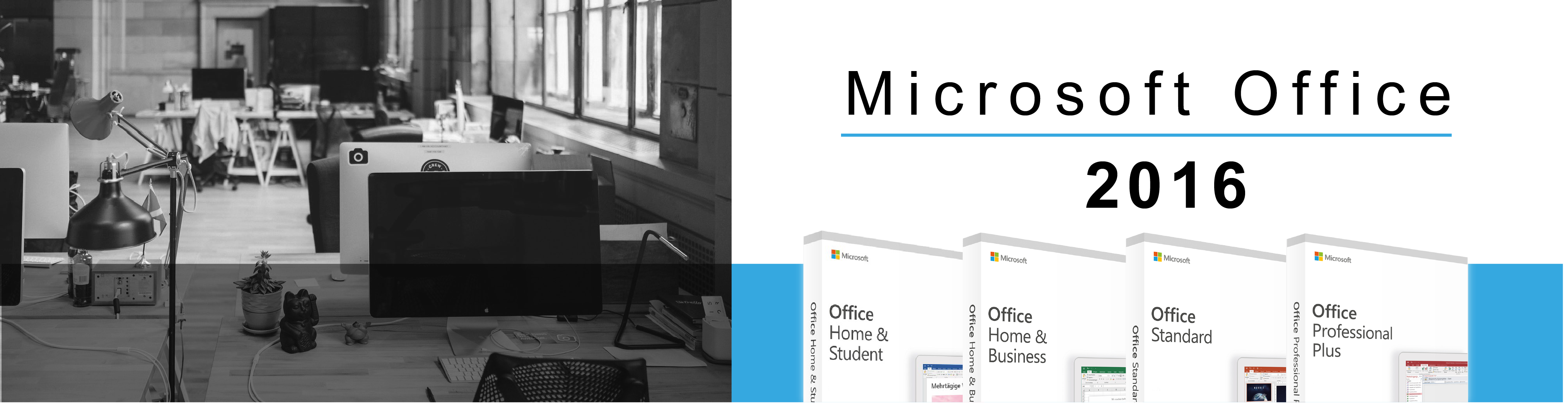 Microsoft Office 2016 (Windows)