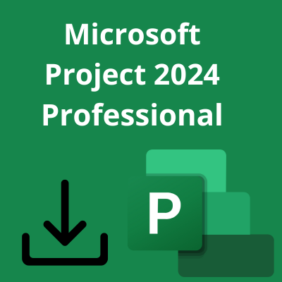 Microsoft Project 2024 Professional