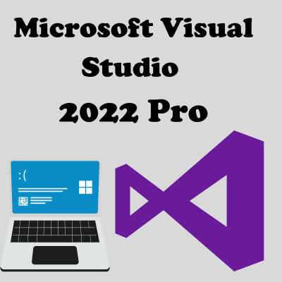 Microsoft Visual Studio 2022 Professional - full version