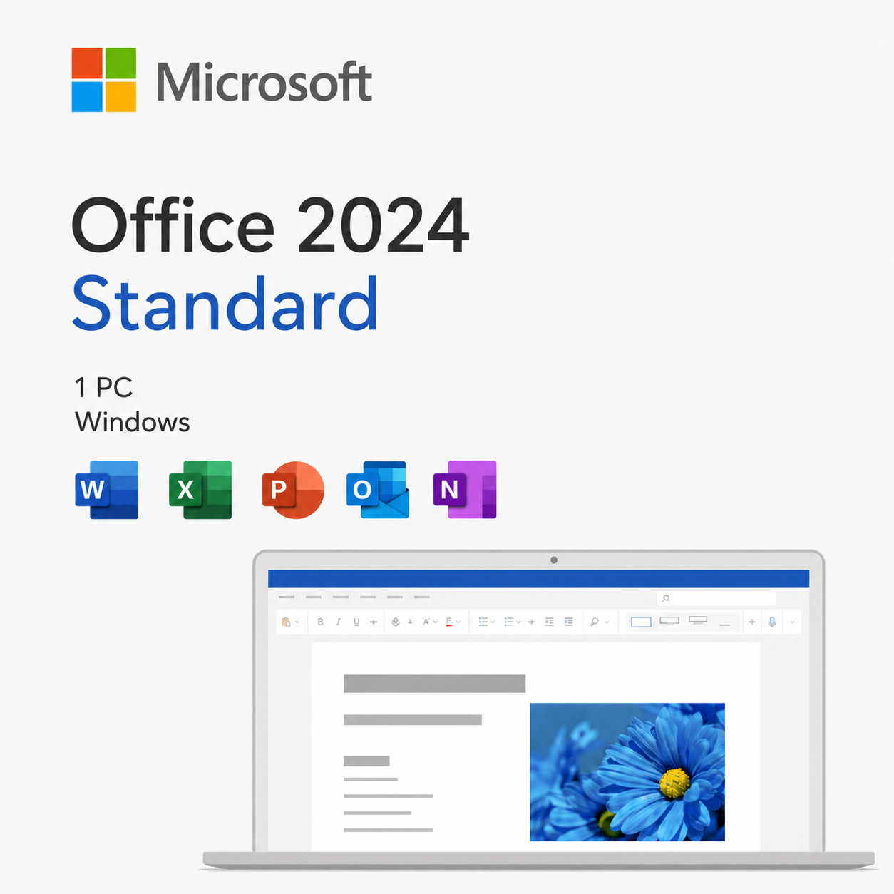 Microsoft Office Standard 2024 for Windows – English product image