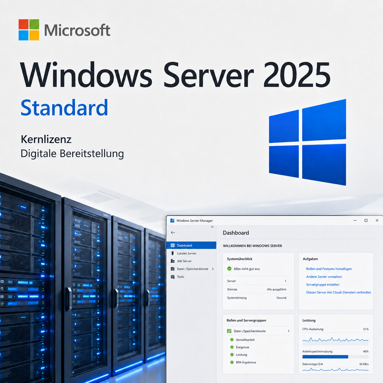 Microsoft Windows Server 2025 Standard