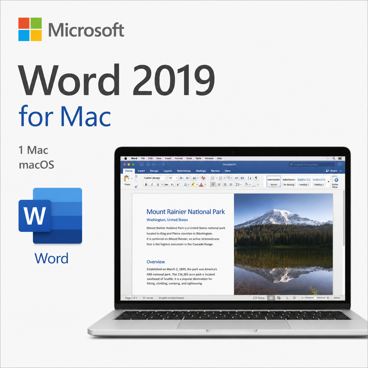 Microsoft Word 2019 for Mac