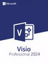 Microsoft Visio Professional 2024