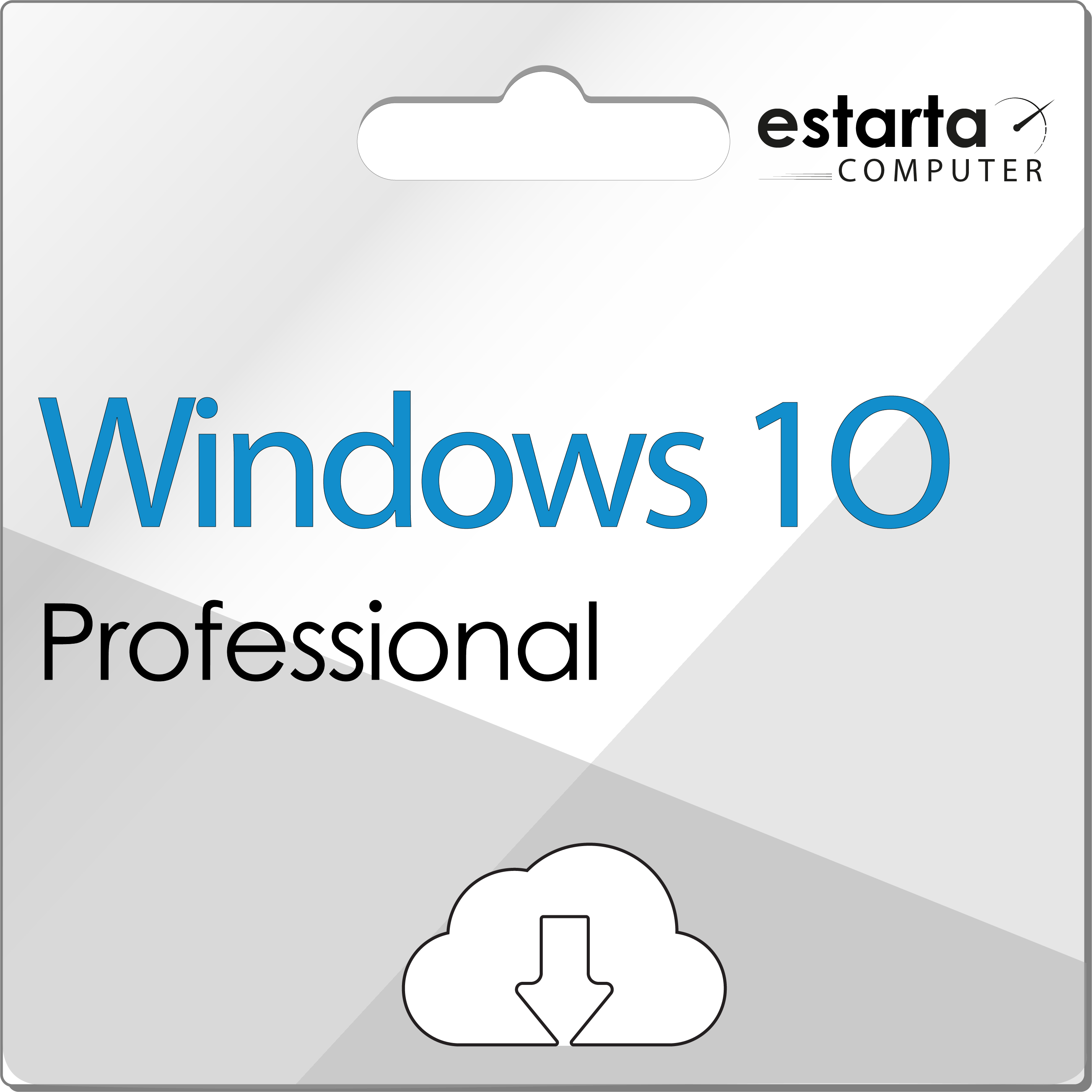 Microsoft Windows 10 Professional License