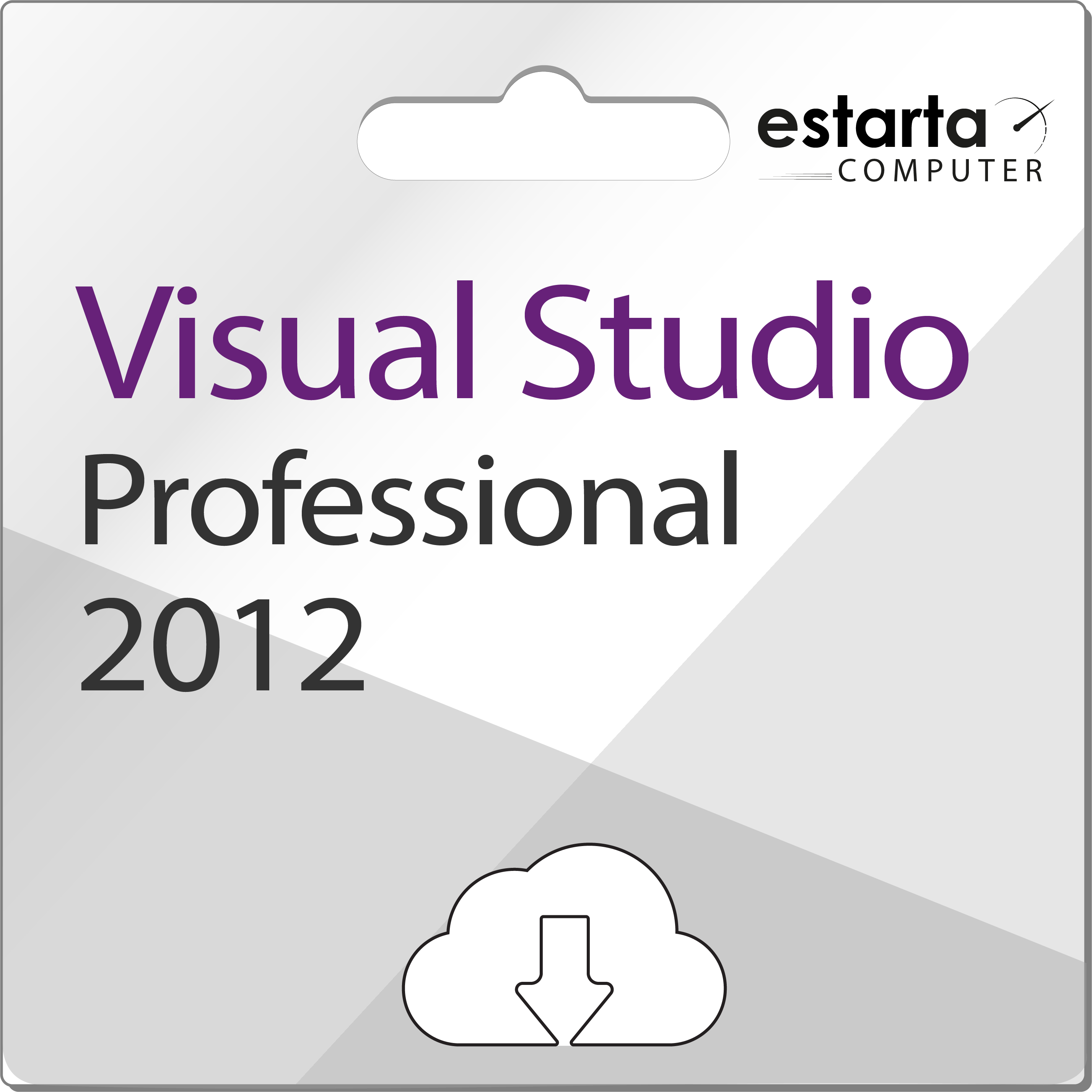 Microsoft Visual Studio 2012 Professional
